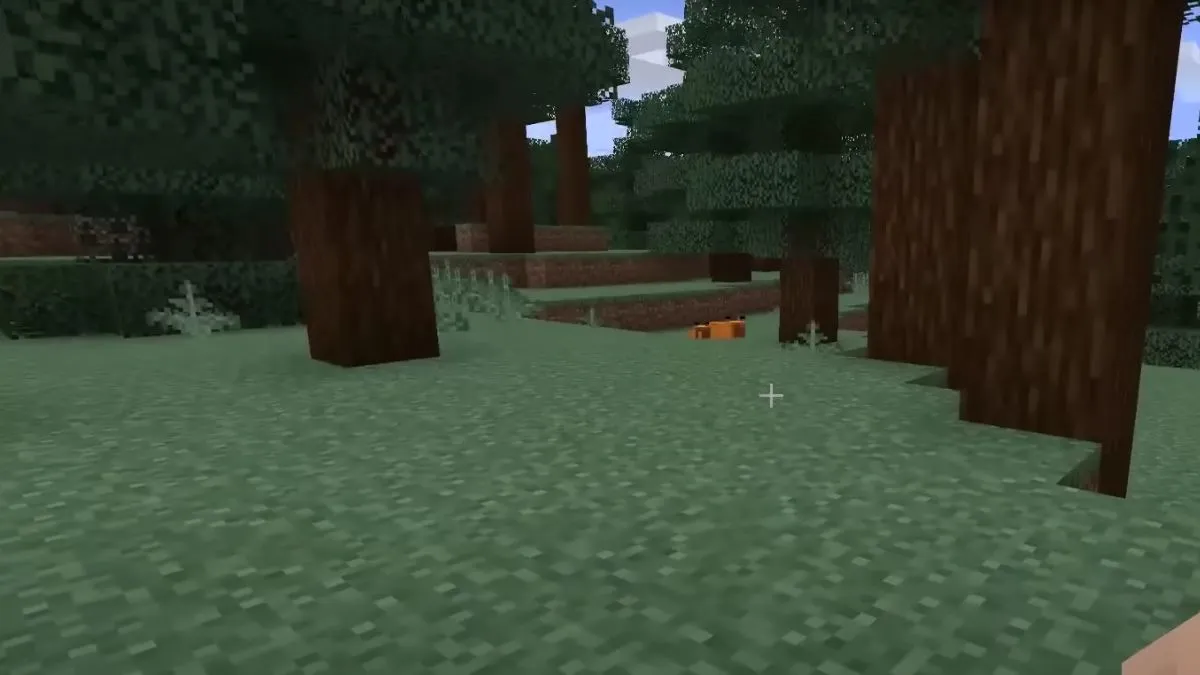 Where Can You Find Foxes in Minecraft?