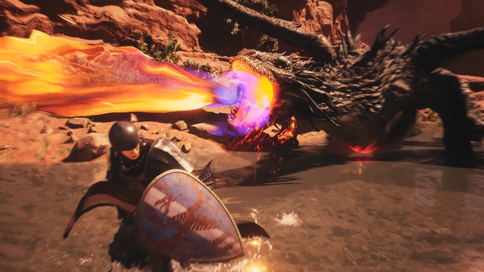 Dragon's Dogma 2 Wyrm Fight