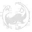Radiant Psalter