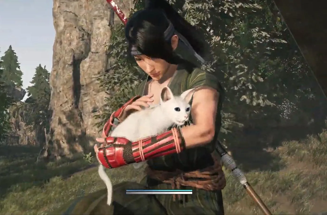 How To Catch & Collect Calico Cats in Rise of the Ronin