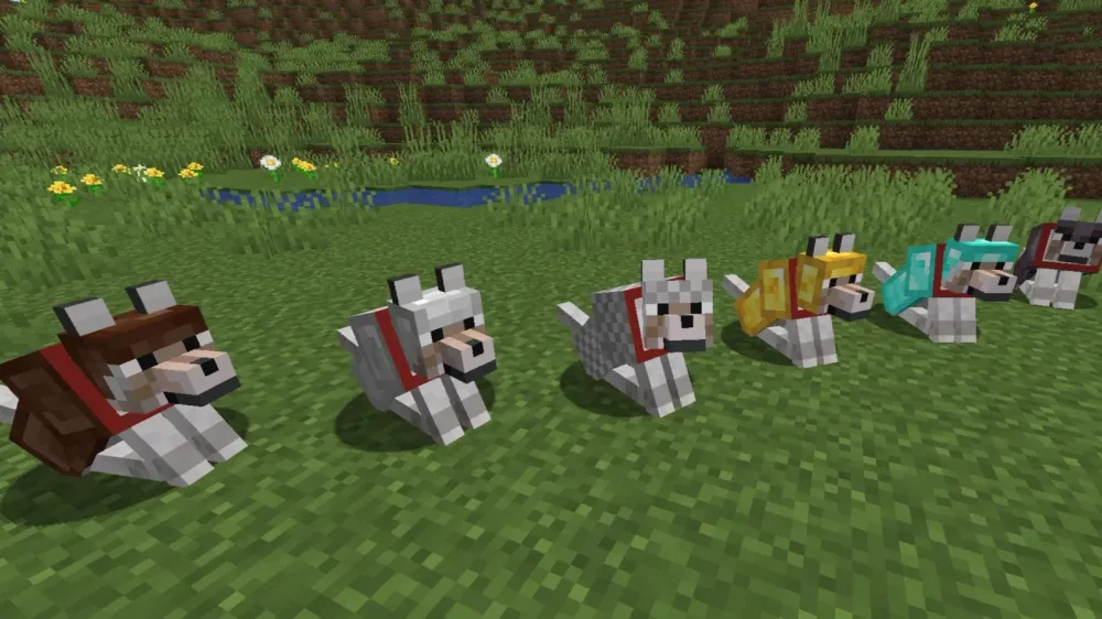 Minecraft Armored Paws Update: Armadillo, Wolf Variants, and Wolf Armor!