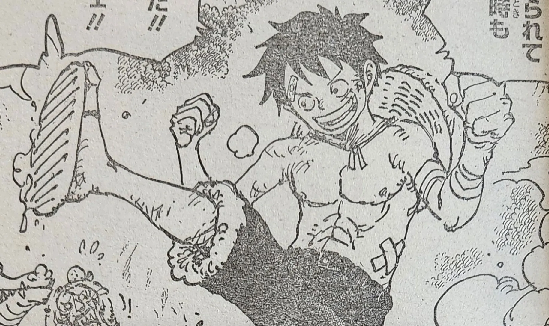 16 Years Old Luffy.jpg