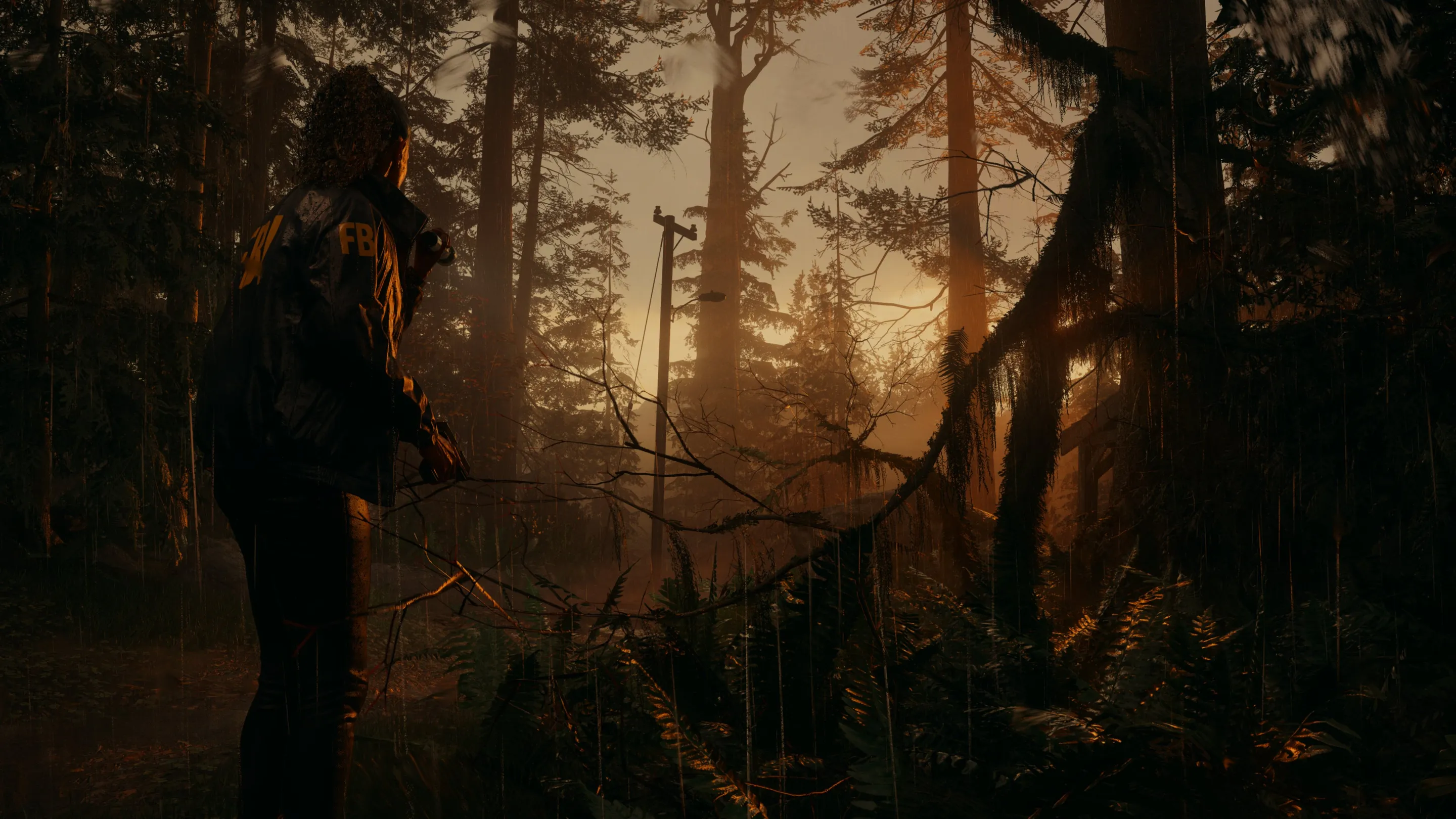 Perguntas frequentes de Alan Wake 2 —