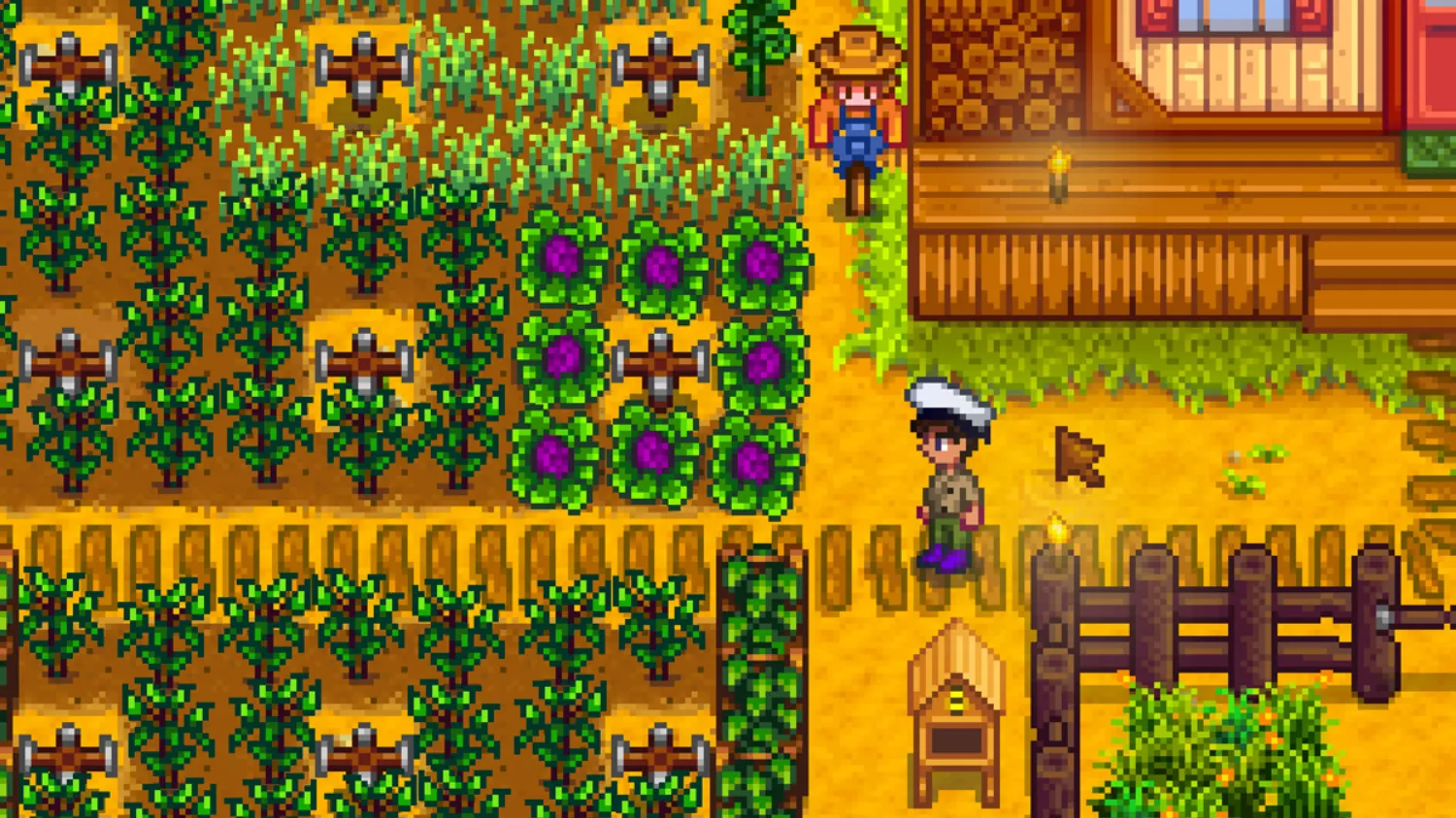 Stardew Valley Best Cheats and Easter Eggs