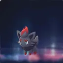 Zorua