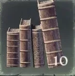 Collection of Books Enshrouded