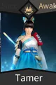 Awakening Tamer BDO