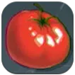 Tomato Plantation.png