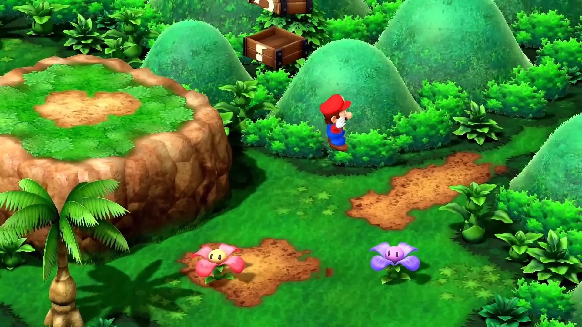 Hidden Treasure Chest 4 Super Mario RPG.jpeg
