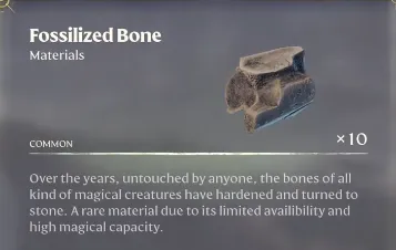 Fossilized Bone in Enshrouded