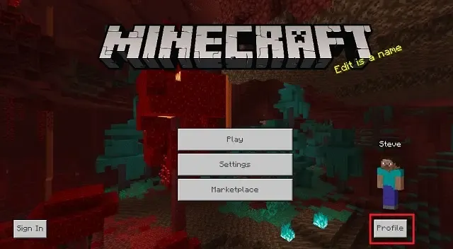 Minecraft-Bedrock-Edition-Profile-Option.webp