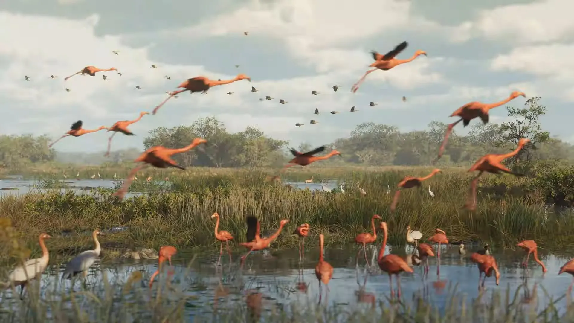 flamingos gta.jpeg