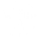 Tempest