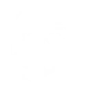1. Crown Destined by Fate