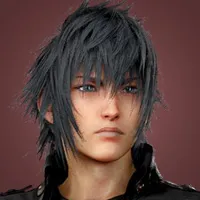 Noctis Portrait