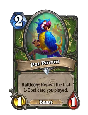 Pet Parrot.webp