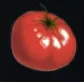 Tomato Palworld.png