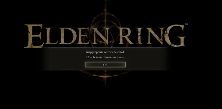 Inappropriate Activity Detected Error in Elden Ring