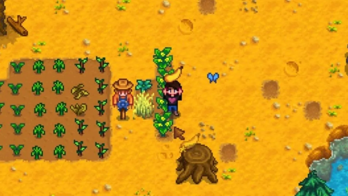 How to Get Summer Squash Seeds in Stardew Valley.jpeg