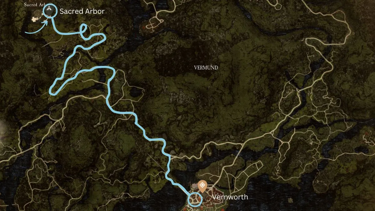 Route to Sacred Arbor in Dragon's Dogma 2.jpeg