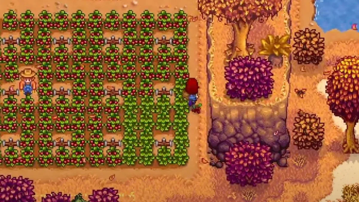 Stardew Valley