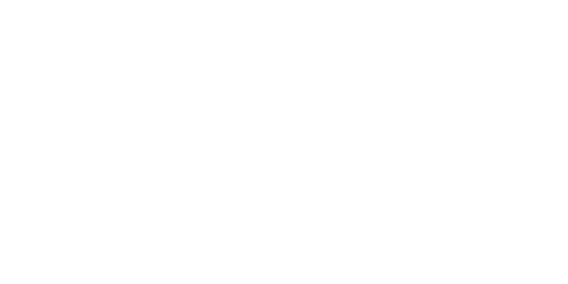 Truetalon Rifle