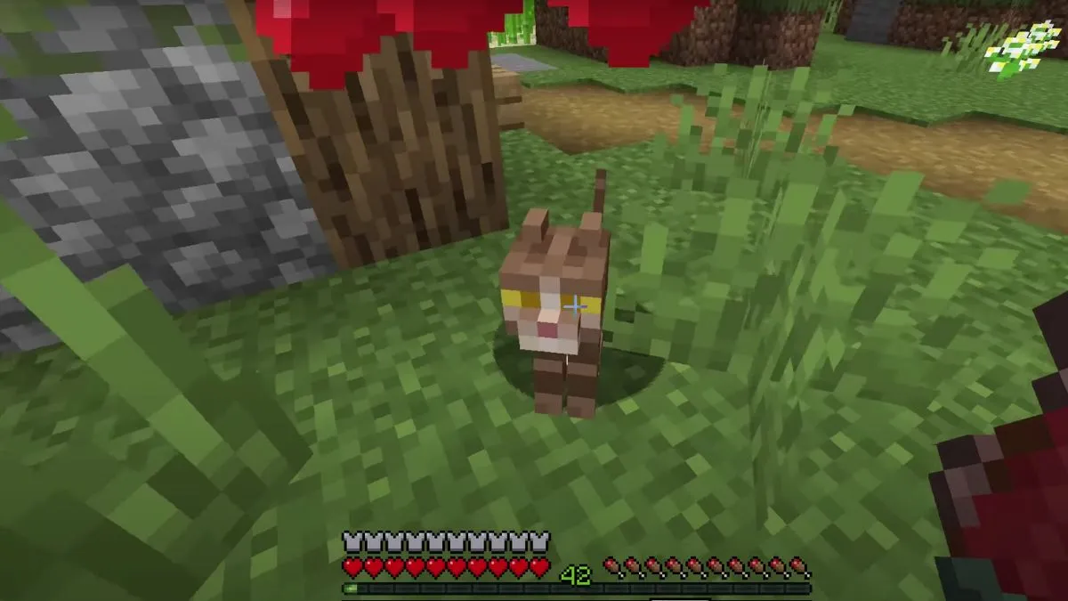 How to Tame a Cat in Minecraft