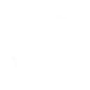 Flaming Star