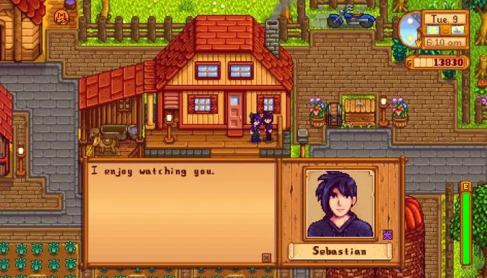 Stardew Valley How to Romance Sebastian - Full Guide 4.jpg