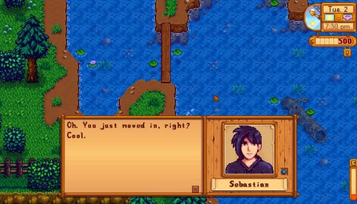 Stardew Valley How to Romance Sebastian - Full Guide 2.jpg