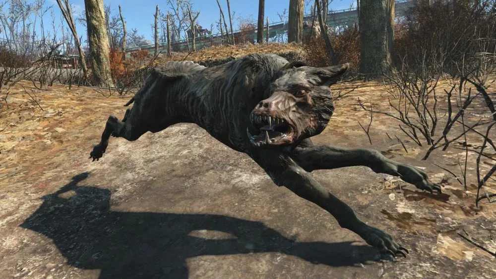 Fallout 76のすべての犬の場所