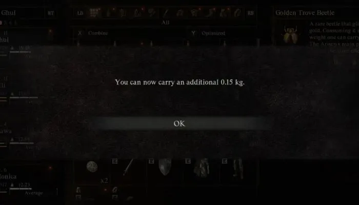 Dragon's Dogma 2 How to Increase Inventory Size 1.jpg