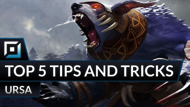 Top 5 Tips and Tricks