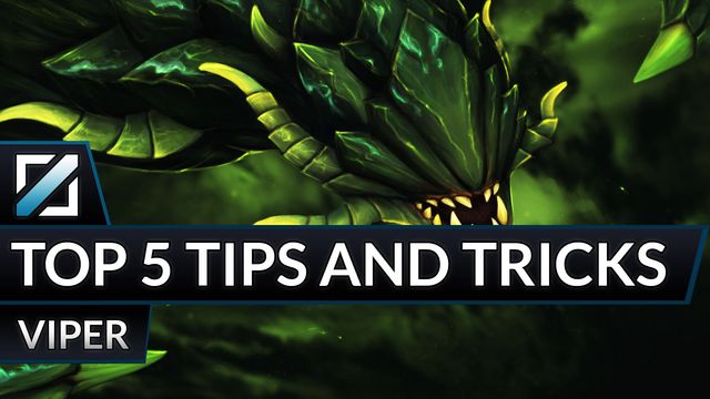 Top 5 Tips and Tricks