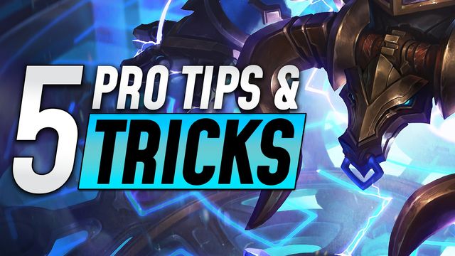 Top 5 Tips and Tricks