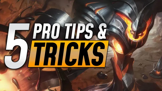 Top 5 Tips and Tricks