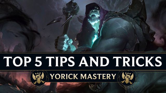 Top 5 Tips and Tricks