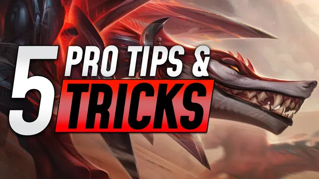 Top 5 Tips and Tricks