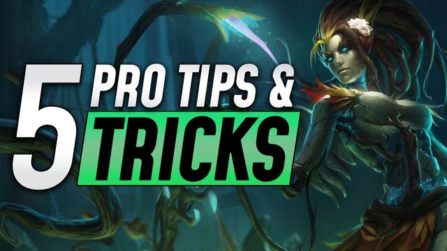 Top 5 Tips and Tricks