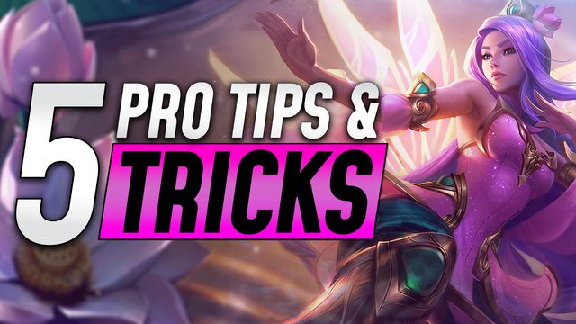 Top 5 Tips and Tricks