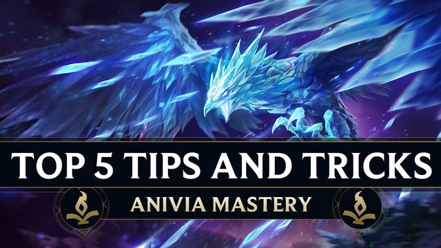 Top 5 Tips and Tricks