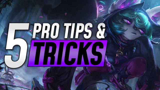 Top 5 Tips and Tricks