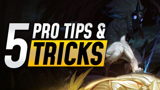 Top 5 Tips and Tricks