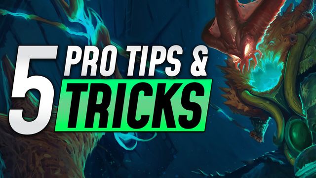 Top 5 Tips and Tricks