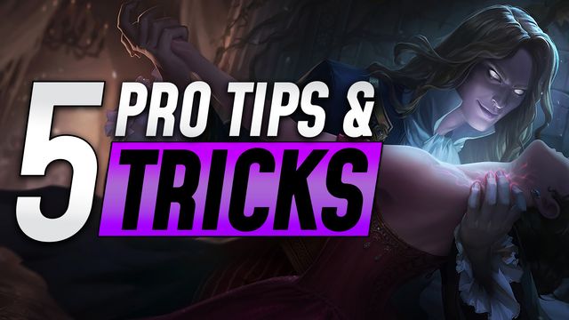 Top 5 Tips and Tricks