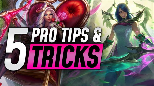 Top 5 Tips and Tricks