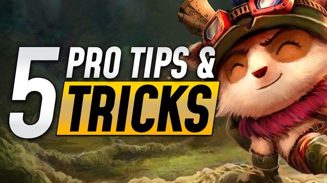 Top 5 Tips and Tricks