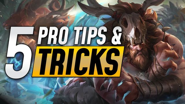 Top 5 Tips and Tricks