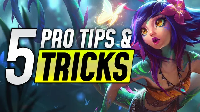 Top 5 Tips and Tricks