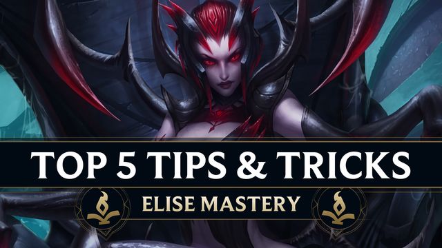 Top 5 Tips and Tricks